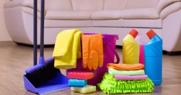 Regular Cleaning Regular Cleaning